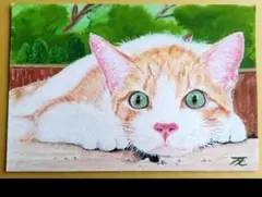 凄みの視線特集４選／プリント