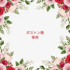 ボストン様 リクエスト 2点 まとめ商品