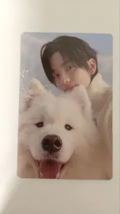 TWS LastBell compact封入 シニュ トレカ