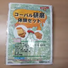 コーパル研磨体験セット　化石を磨いてみよう