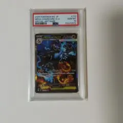 2026年最新】リザードンeX sar psa10の人気アイテム - メルカリ