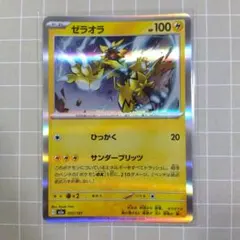 ゼラオラ MEGA ハイクラスパック MEGAドリームex キラ 055/193