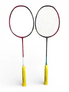 【即日発送】アストロクス88D2本セット廃盤