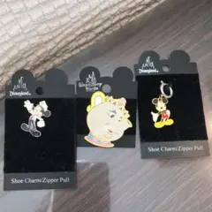 ディズニー ピンバッジとジッパープルのセット