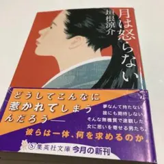 月は怒らない
