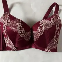 HEAVEN Japan ブラジャー G70 ボルドー 脇肉キャッチャー　新品のサムネイル