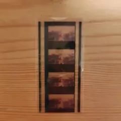 Item thumbnail for item 13569805-e5c0-4535-b2f0-ed08721a572e