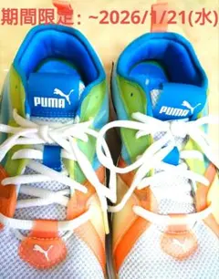 PUMA ENZO 2 LOW 28cm プーマ ランニングシューズ スニーカー