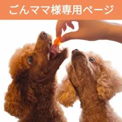 ごんママ様 リクエスト 2点 まとめ商品