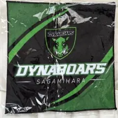 DYNABOARS タオルハンカチ