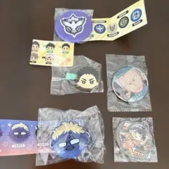 ハイキューピンバッジセット