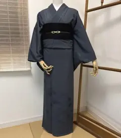 美品　正絹　紗紬　明石縮み　色無地　夏着物　着物単品　未使用近い 美品 正絹 紗紬 明石縮み 色無地 夏着物 着物単品 未使用近い - メルカリ