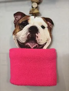 Item thumbnail for item 6919cca0-62f9-4e45-9767-0e8b73cdad59