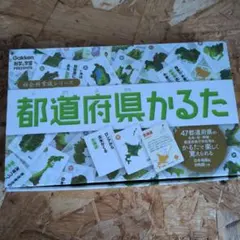 Item thumbnail for item 6505c963-fedc-43ec-a5c9-6658e543710f