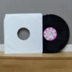 レッチリ　house レコード　red hot chili peppers