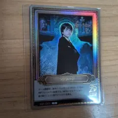 ハリー・ポッタートレーディングカード PTOO7a PT*パラレル ハリー・ポッター カード pt☆ partner パラレル 激レア - メルカリ