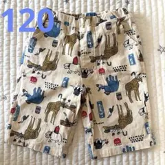 美品　ハーフパンツ　動物柄120