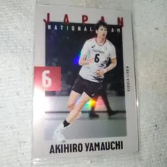 日本代表バレーボールツインウエハース2025 山内晶大 2-05 N