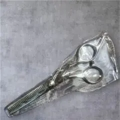 Item thumbnail for item 872bfc74-5fc7-4703-a5f0-bb1ef12afb99