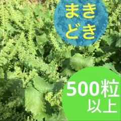 ☆プロフ必見CTMRI※次回6月発送様 リクエスト 2点 まとめ商品