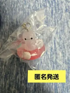 ディズニーキャラクター　めじるしアクセサリー　SUMMER　ベイマックス