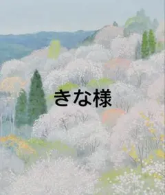 きな様　専用　詳細必読