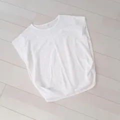 シースルー　レディーストップス