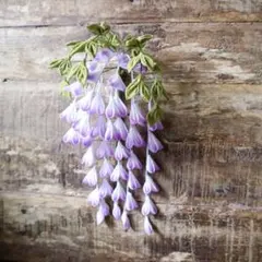 【藤の花】つまみ細工 髪飾り