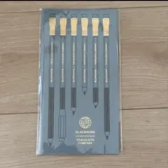 【ラスト1点！】トラベラーズノートBLACKWING レギュラーサイズ　リフィルのサムネイル