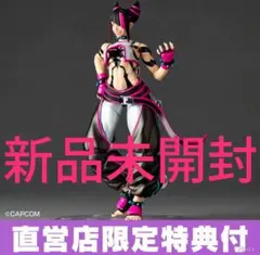 新品未開封 特典付き ストリートファイター アメイジングヤマグチ ジュリのサムネイル