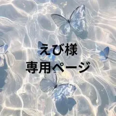 えび様 専用ページ