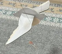 Item thumbnail for item 4b1ae5d6-2c5d-42f2-9eac-90499a2d35d6