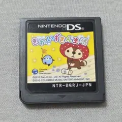 きれいずきん生活　DSソフト　任天堂　3DSソフトのサムネイル