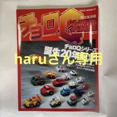 Item thumbnail for item 37eee47c-05af-4a06-a4ee-c56d6a79e3ef