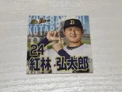 紅林弘太郎　オリックス　神戸デザインステッカー2024