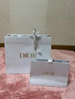 Dior ショップ袋 大小セット