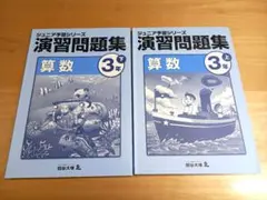 2025年最新】ジュニア予習シリーズ 2年の人気アイテム - メルカリ