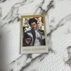 Komayutohu様 リクエスト 2点 まとめ商品