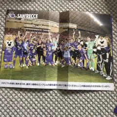 サンフレッチェ広島 応援グッズ