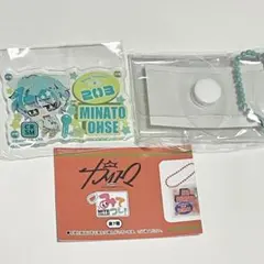 【新品未開封・匿名発送】 カリスマ みてコレ！ 湊大瀬