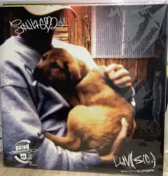 Nujabes Shing02 Luv sic5 レコード Nujabes Shing02 Luv sic5 レコード Nujabes Shing02 Luv sic5