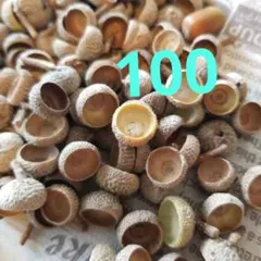どんぐり帽子　100個　工作　ハンドメイド材料　秋