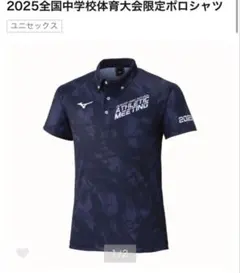 新品☆ミズノ☆ALL JAPANロゴ入り全国大会記念ポロシャツブルー L