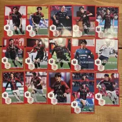 オフィシャルトレーディングカード・レギュラー16枚セット　北海道コンサドーレ札幌