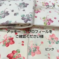 アッキー　☆プロフィールをご確認ください様