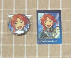 プロセカ あんスタ コラボ 缶バッジ ぱしゃっつ レオ