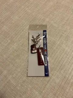 Item thumbnail for item add9df2d-3332-43d2-9afb-6ec2eb7841f7