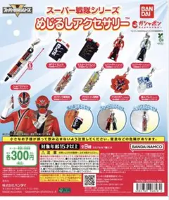 スーパー戦隊シリーズ めじるしアクセサリー2個セット