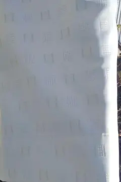 Item thumbnail for item 0f976162-c229-4202-9ab2-3e37d56ce70e