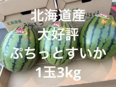 吉四六すいか 特大2玉入り 甘くて美味しい18〜19 Kg - メルカリ
